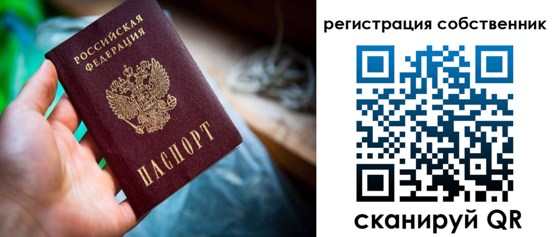 прописка гарантия в Опочке
